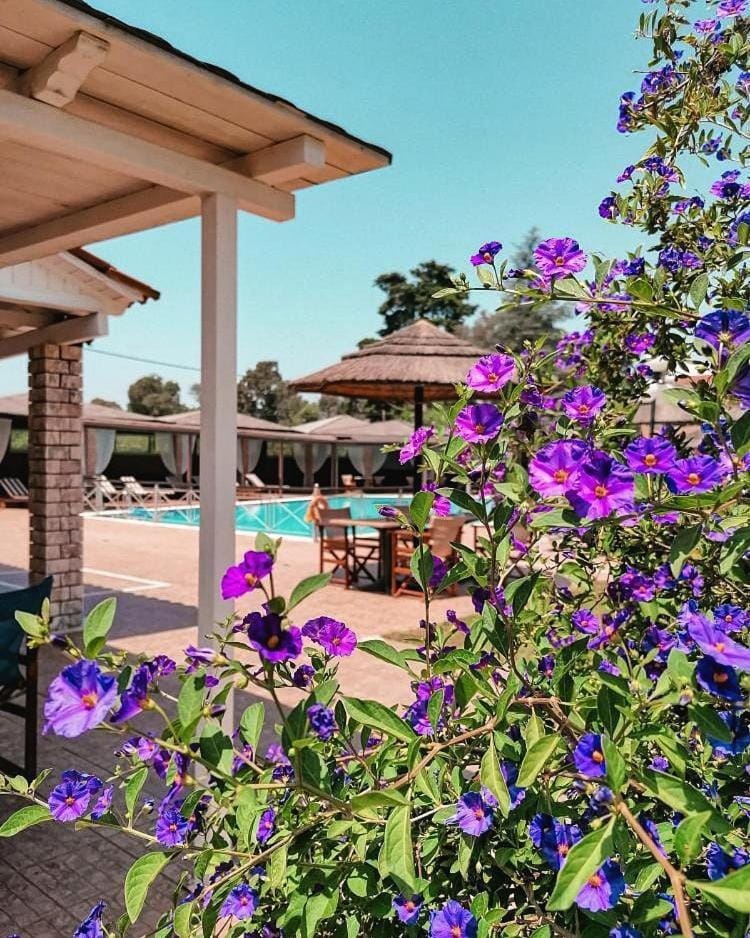 Hotel Kalamitsi Apartments Apartment hotel in Peloponnese, Western Greece and the Ionian