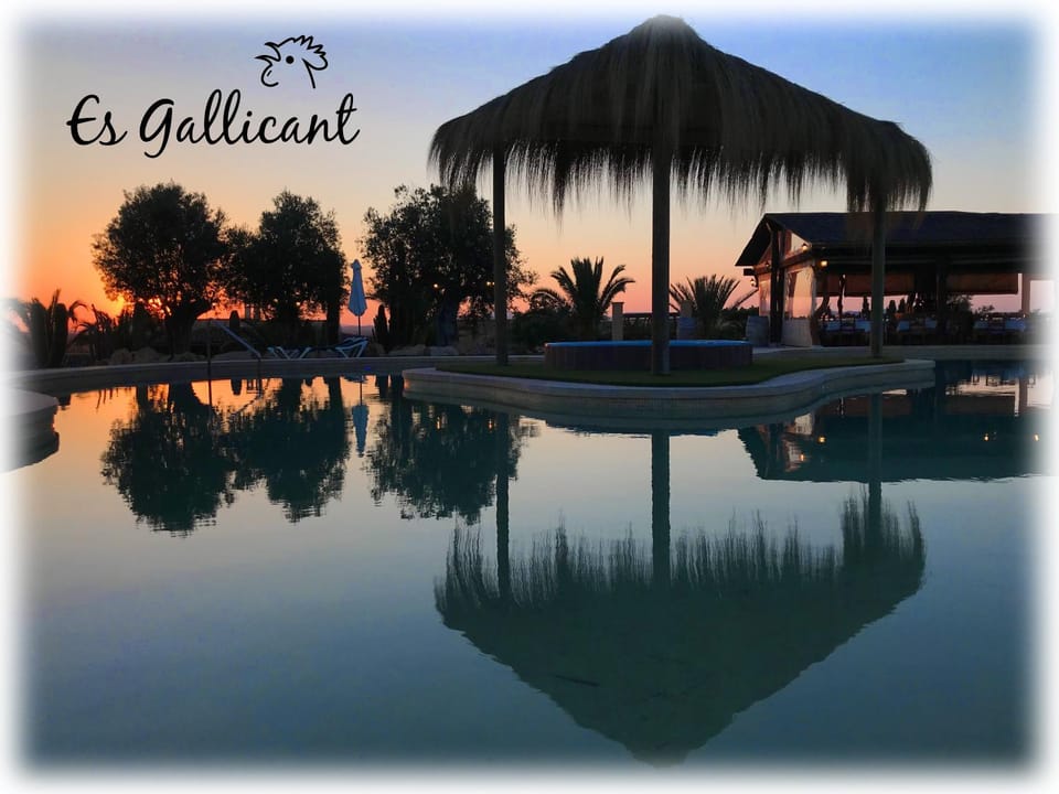 Summer, On site, Swimming pool, Swimming pool, Sunset