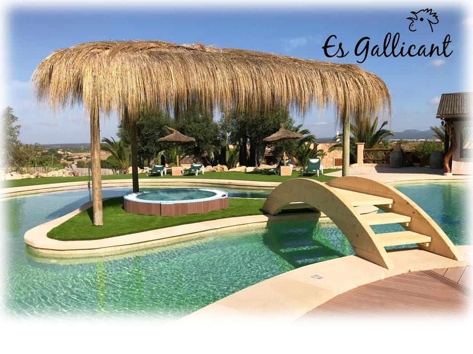 Swimming pool, Swimming pool