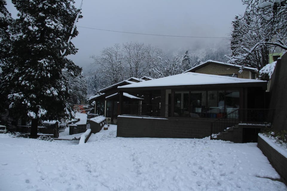 Winter