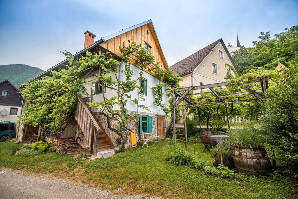 Property building, Garden view