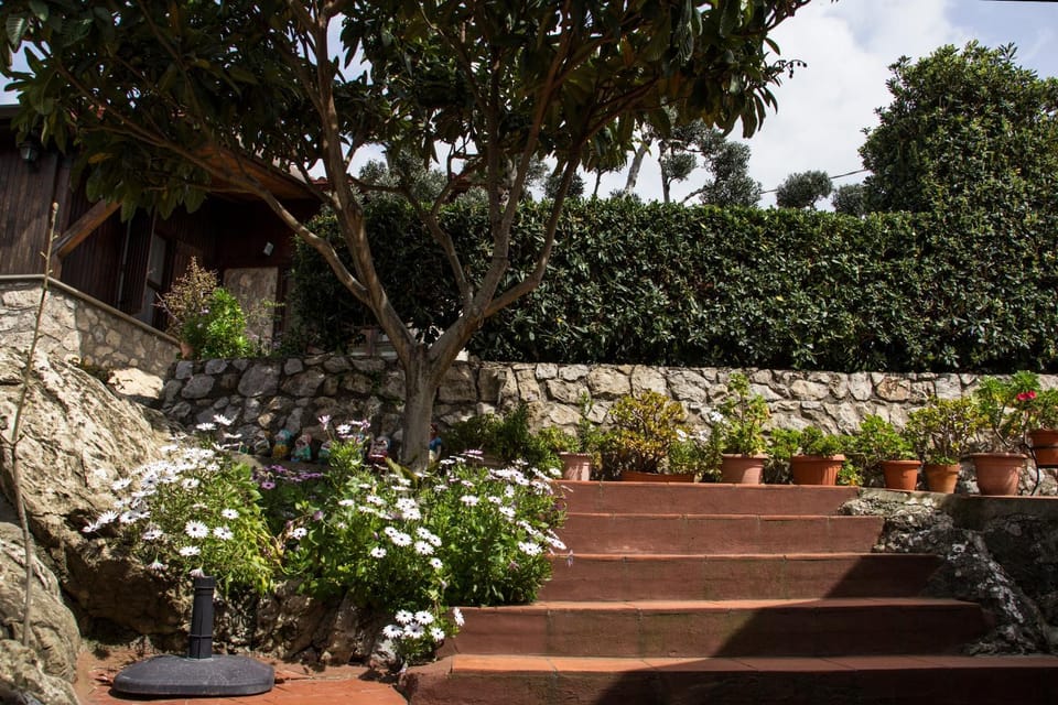 Facade/entrance, Garden, Garden view
