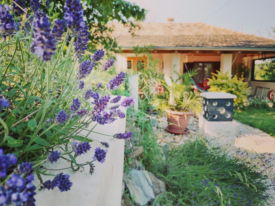 Levendula Vendèghàz Bed and Breakfast in Hungary