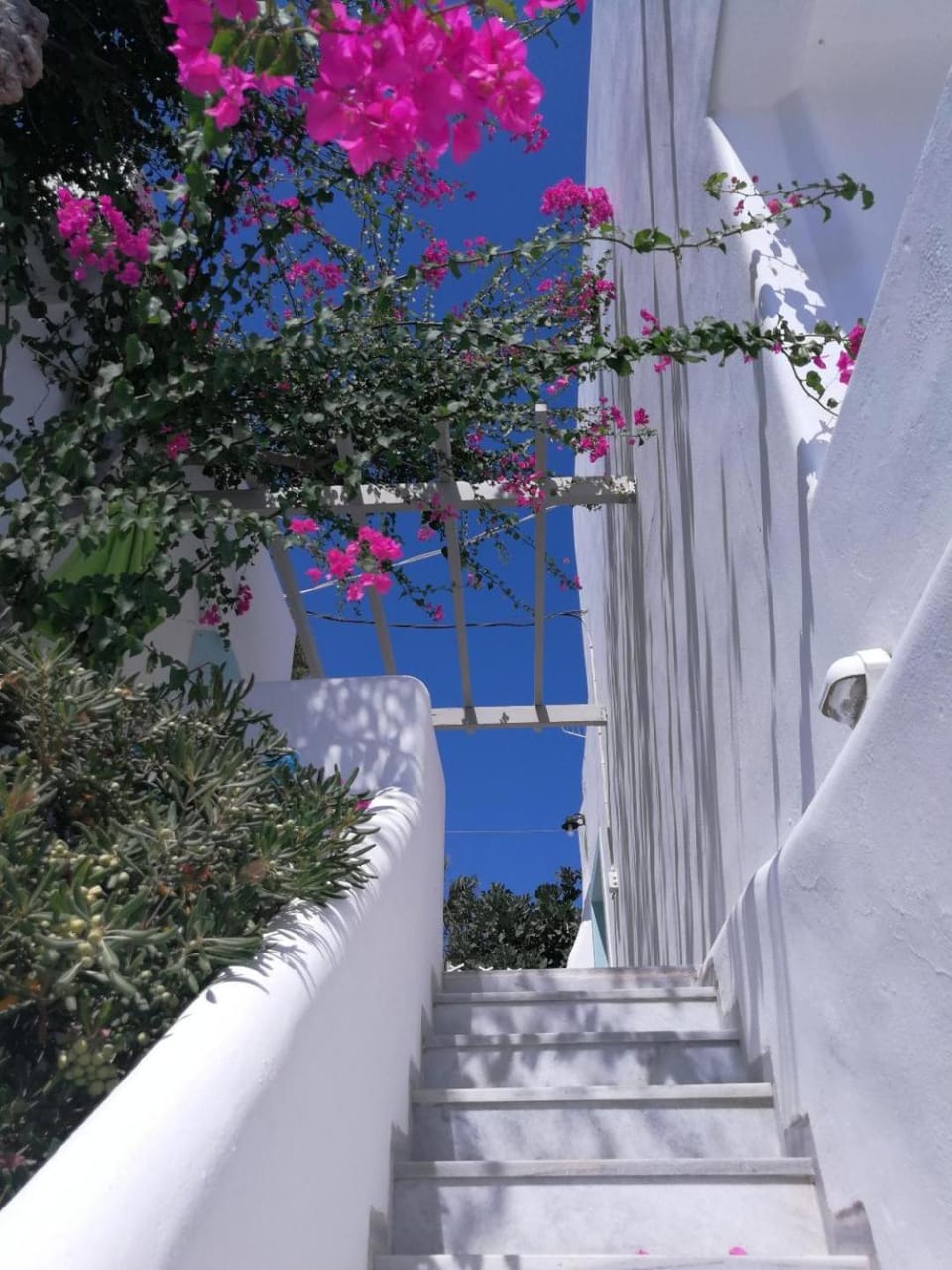 Property building, Decorative detail