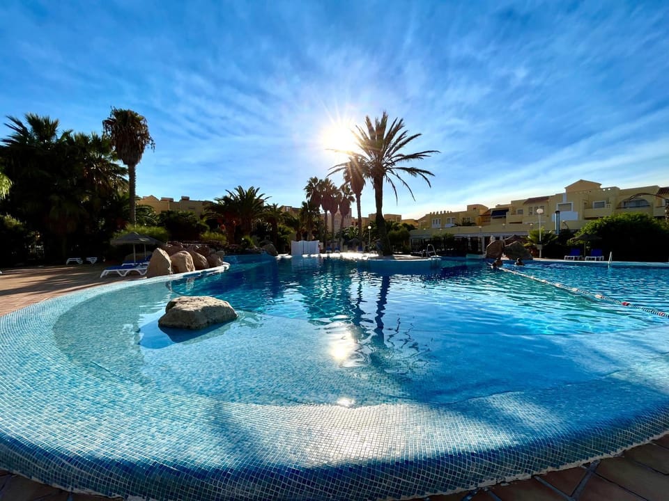 Day, Swimming pool, sunbed