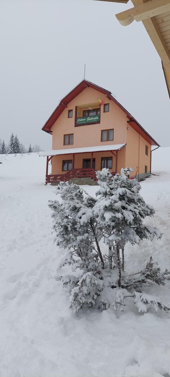 Property building, Natural landscape, Winter