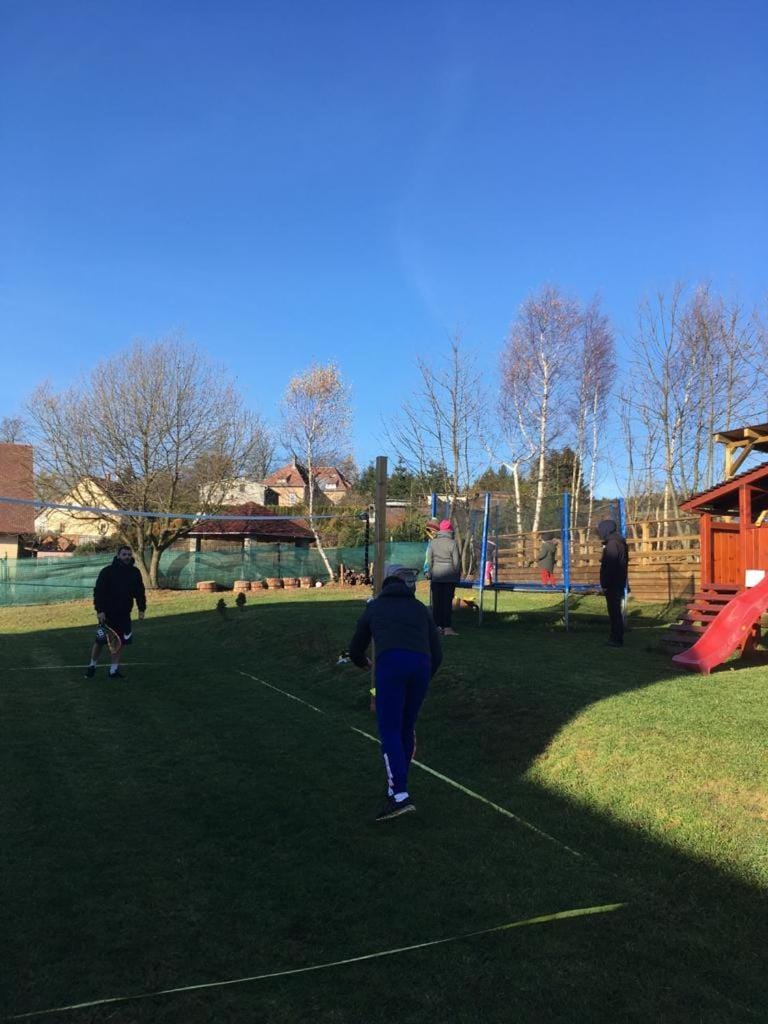 Apartments Villa Viola Bed and Breakfast in Erzgebirgskreis