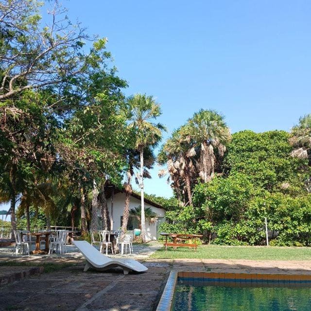 Natural landscape, Garden, Swimming pool