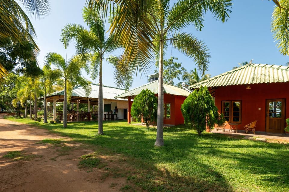 Property building, Garden view