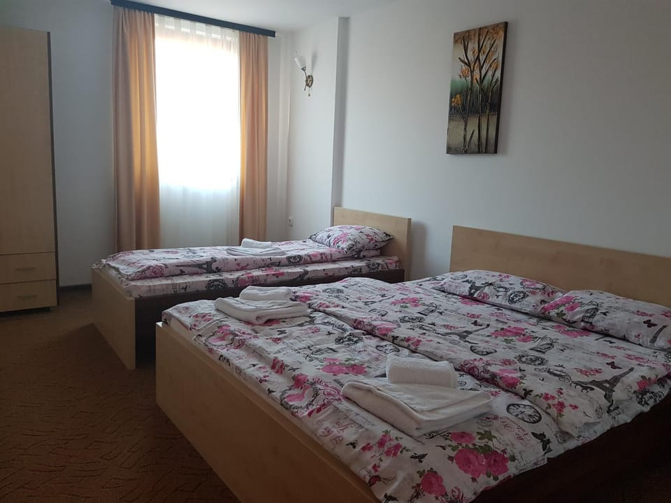 Bed, Photo of the whole room, Bedroom, cot, bunk bed