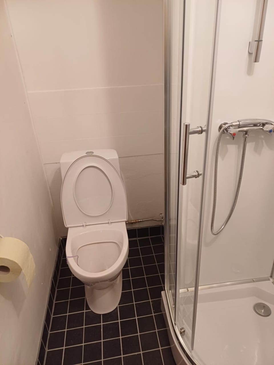 Shower, Toilet