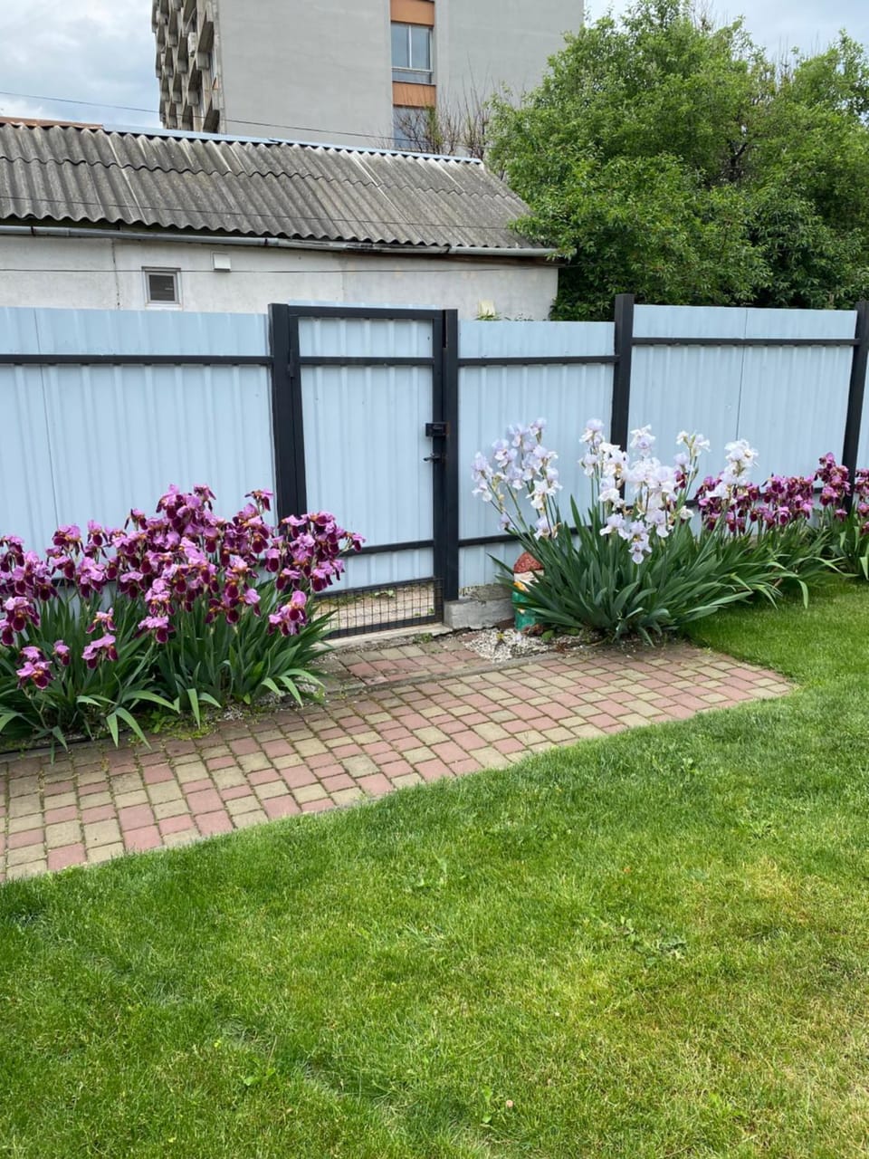 Домик для отдыха рядом Днепр House in Ukraine