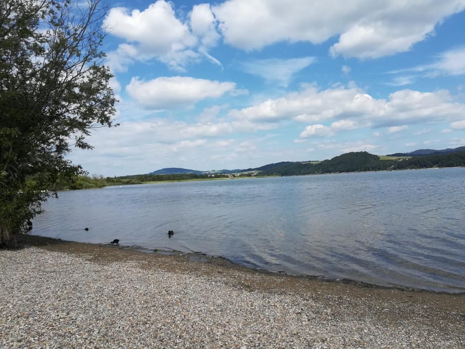 Natural landscape, Beach, Lake view