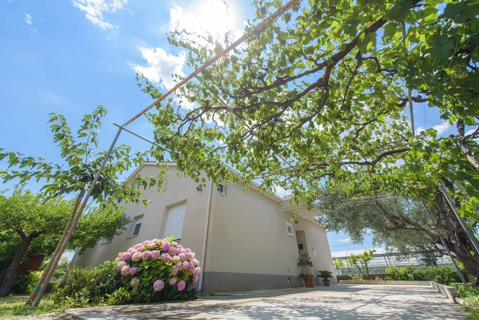 Property building, Facade/entrance, On site