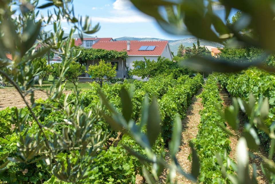 Property building, Garden, Garden view