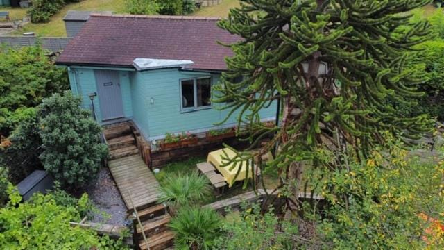 Property building, Day, Garden