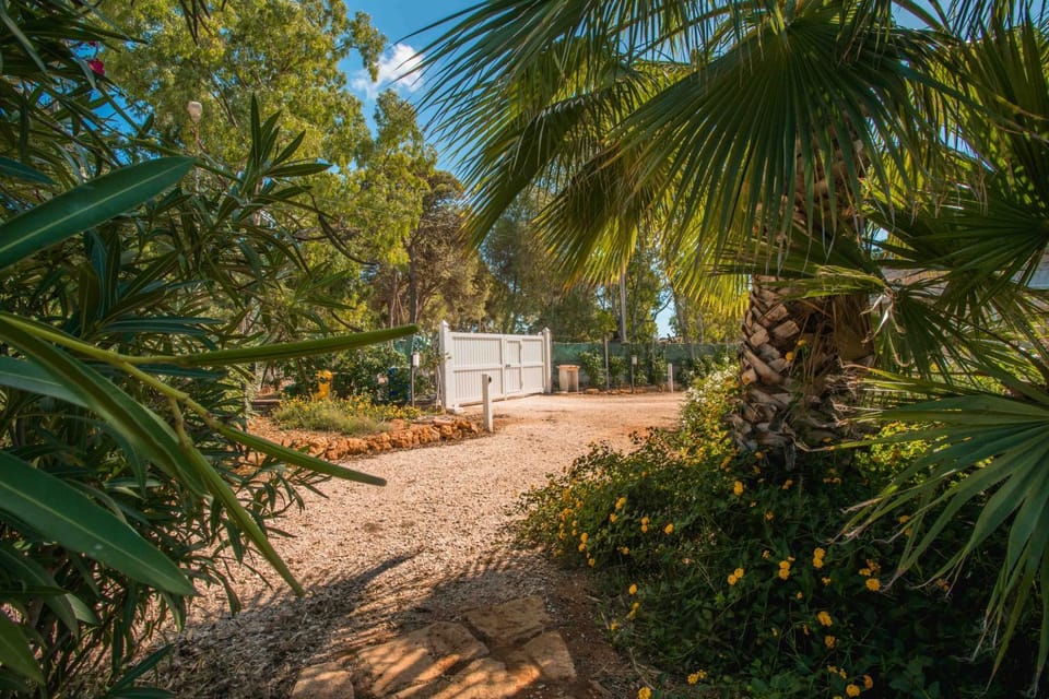 Case Vacanze Pietre Rosse -ALBA House in Sicily