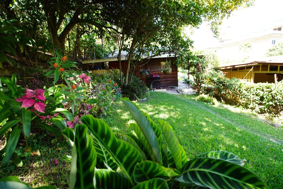 Natural landscape, Garden view