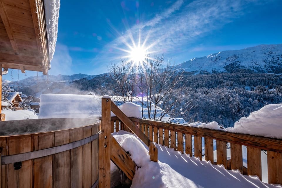 Chalet Zebra Chalet in Les Allues