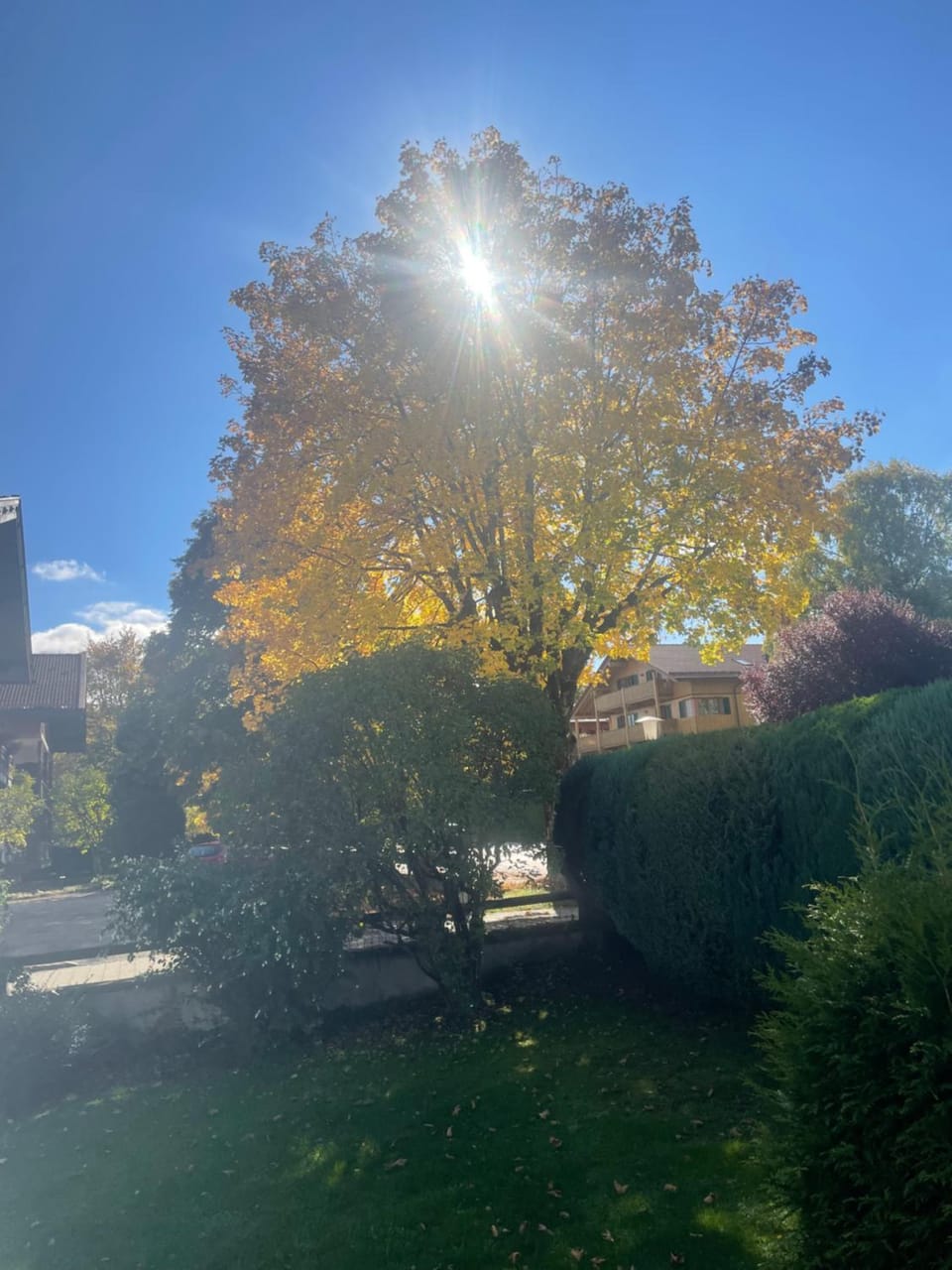 Gästehaus Baier am Bad Apartment in Tegernsee