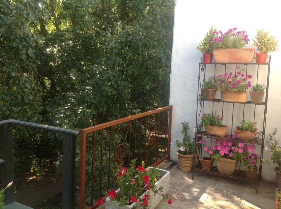 Property building, Balcony/Terrace, On site, Pets