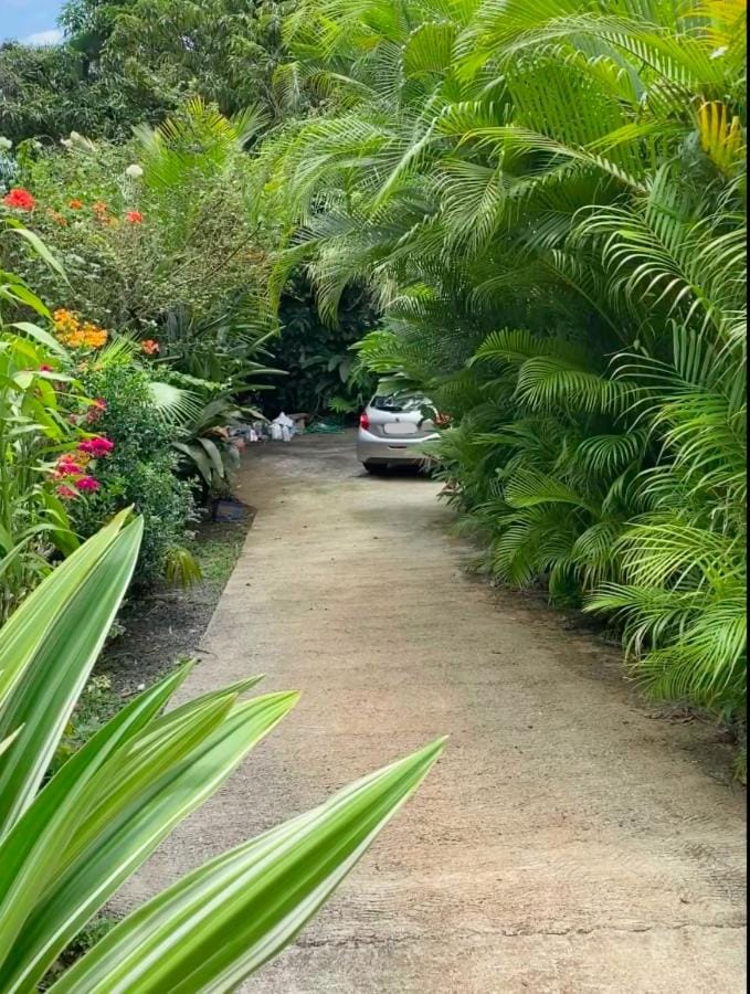 Le Filao House in Leeward Islands