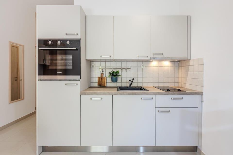 Kitchen or kitchenette, dishwasher, oven