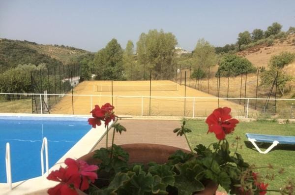 Tennis court