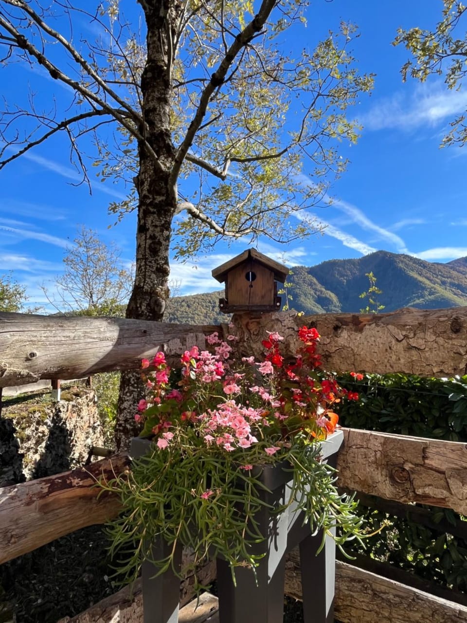 Balcony/Terrace, Balcony/Terrace, Mountain view