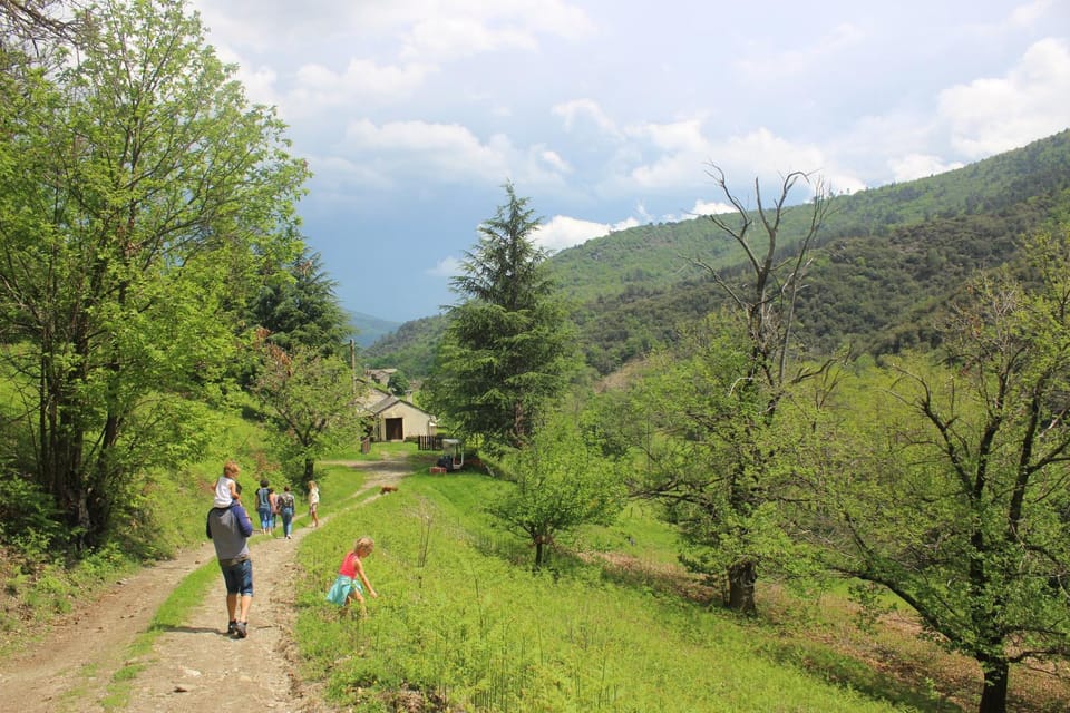 Hiking