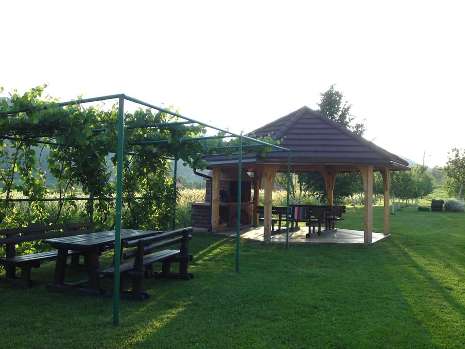 Location, children, Family