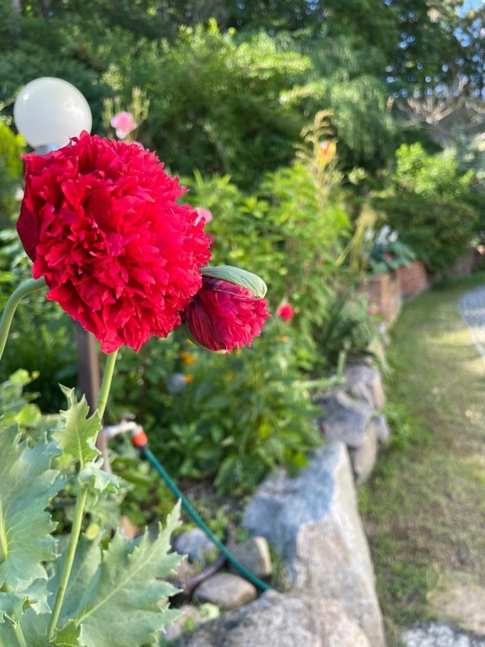 Villa Mielno-EKO Vacation rental in West Pomeranian Voivodeship, Poland