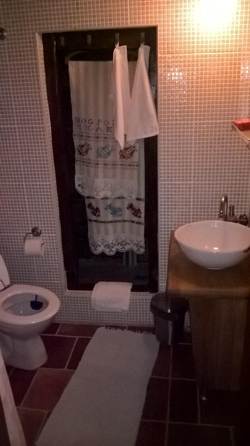 Shower, Toilet