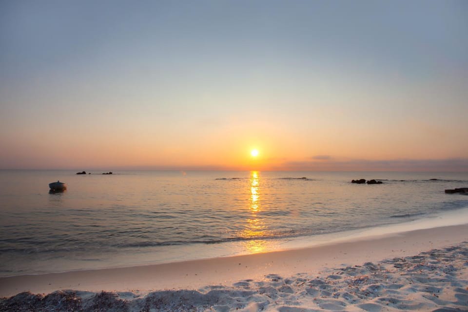 Natural landscape, Beach, On site, Sunrise