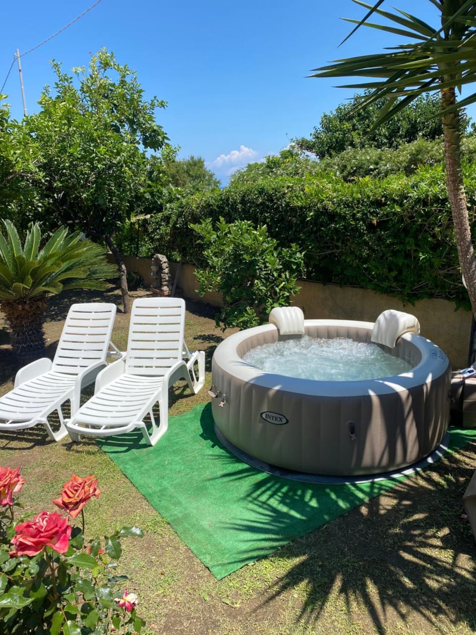 Garden, Swimming pool