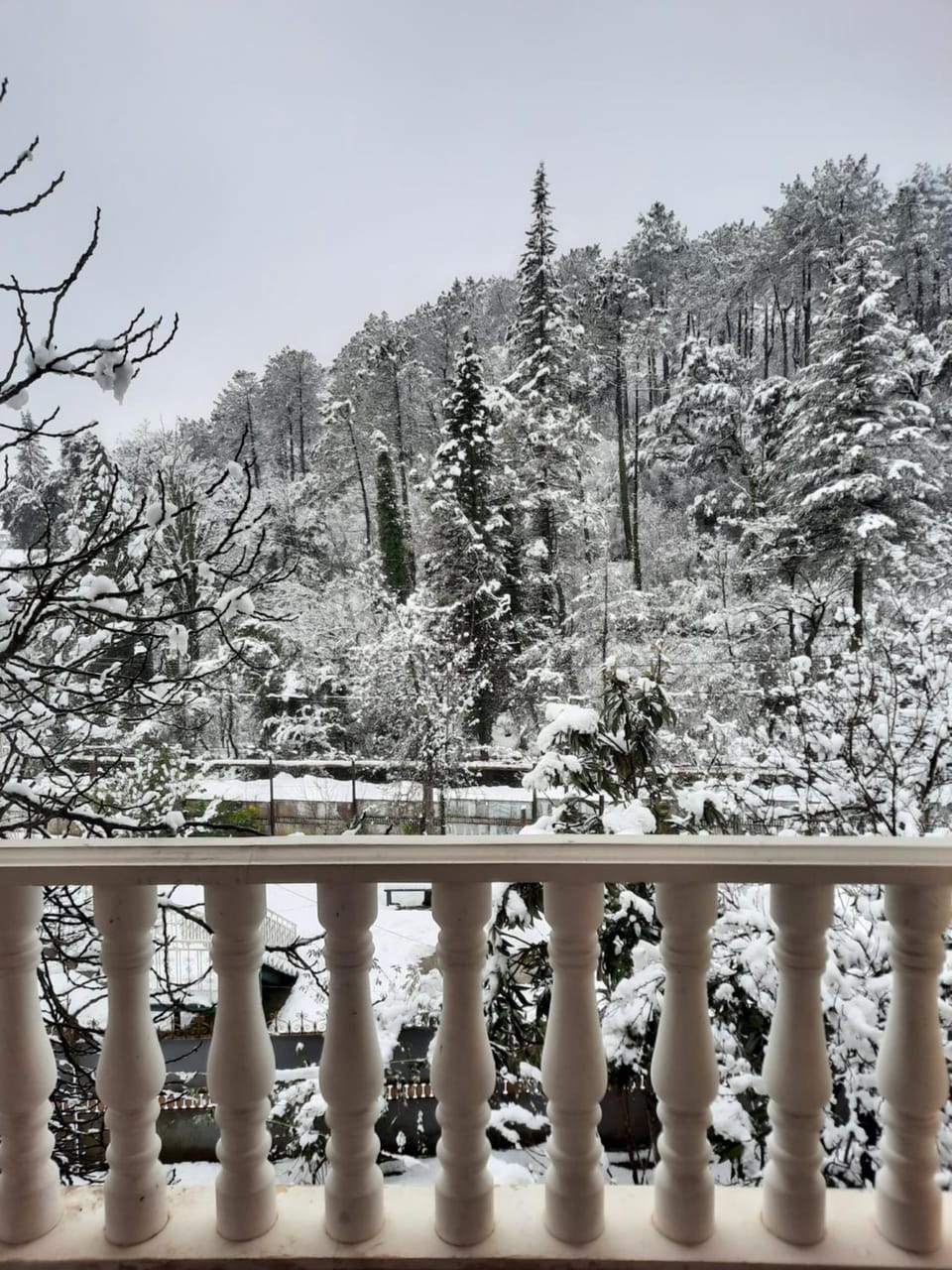 Winter, View (from property/room), Balcony/Terrace
