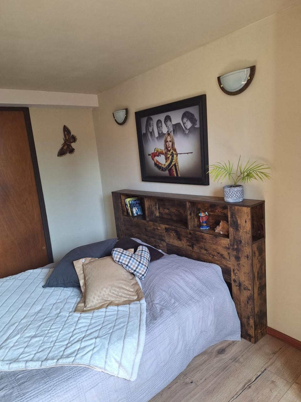 Bed, Photo of the whole room, Bedroom