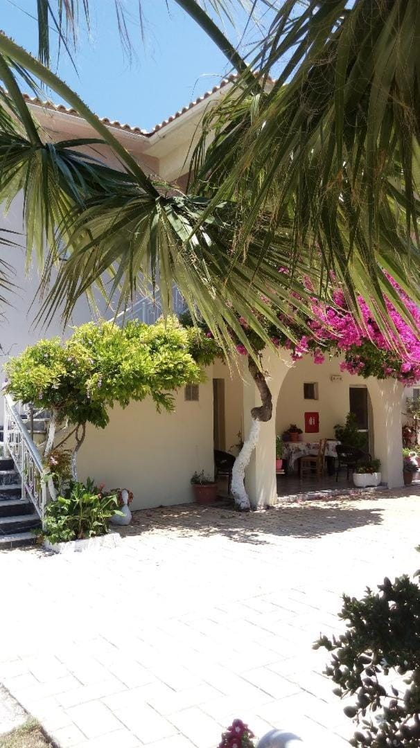 Canditas Studios Apartment in Zakynthos, Greece