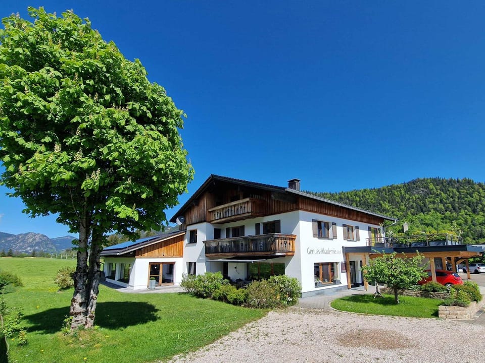 Property building, Summer, Garden, Parking