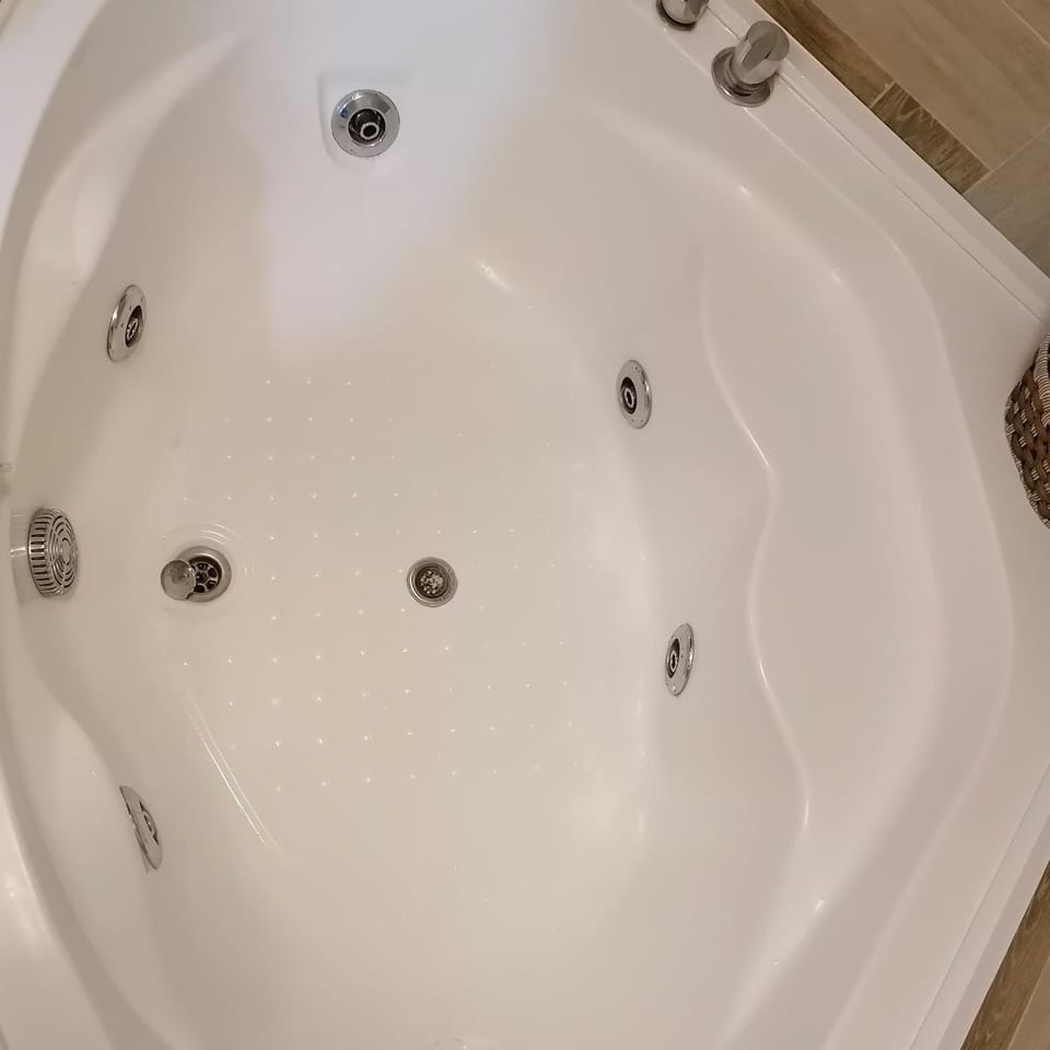 Marina Jacuzzi Apartment free parking Apartment in Novi Sad