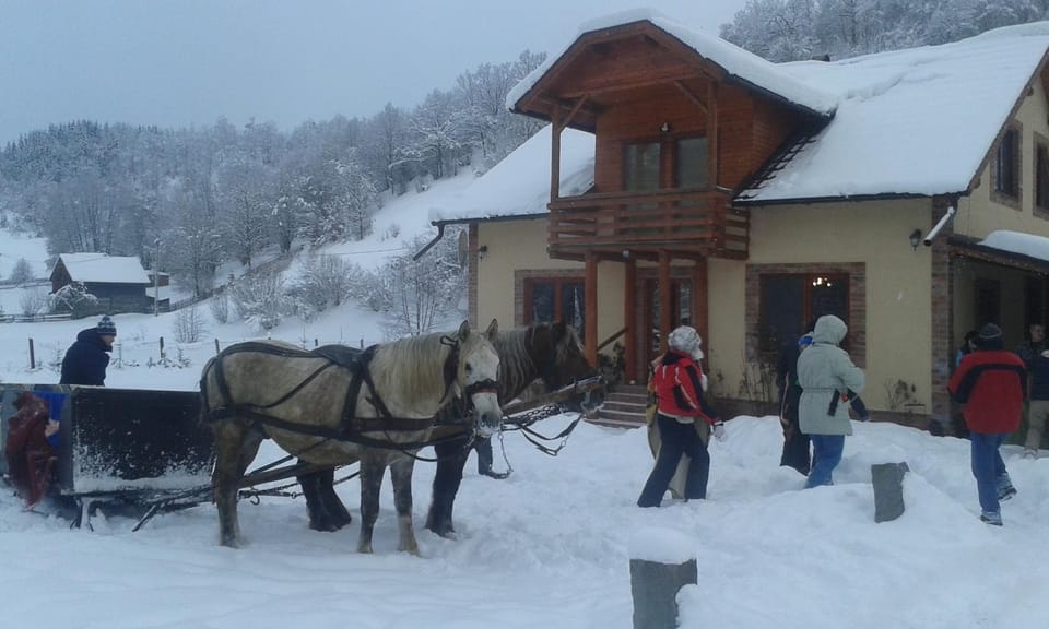 Katalin Kulcsosház Bed and Breakfast in Romania