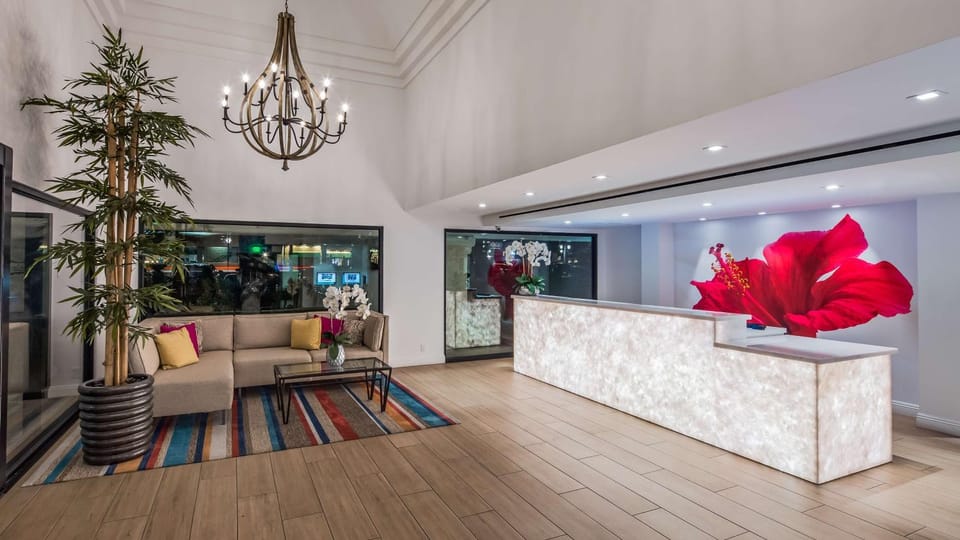 Lobby or reception, On site