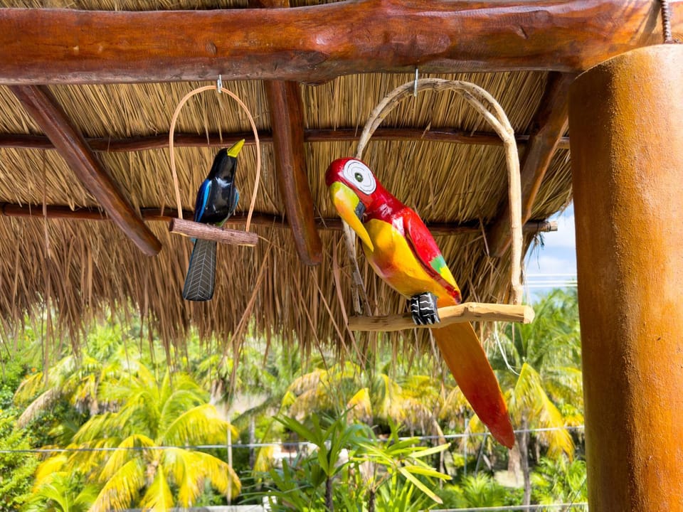 Casa Sonoma - Charming Condos Minutes from Beach & Reef Apartment in Puerto Morelos