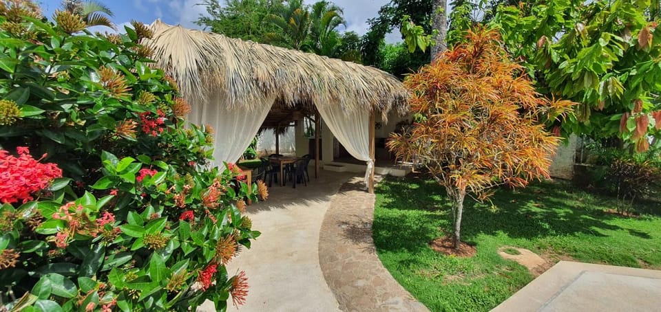 Patio, Dining area