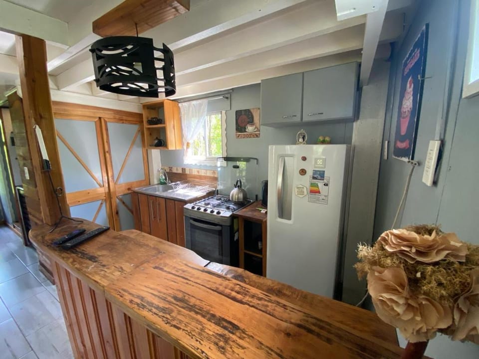 Kitchen or kitchenette, minibar, oven, pet friendly, stove