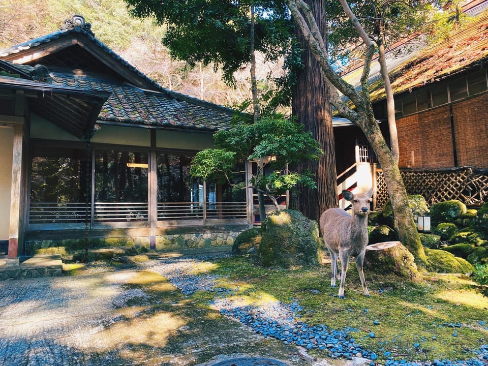 Property building, Garden, Animals