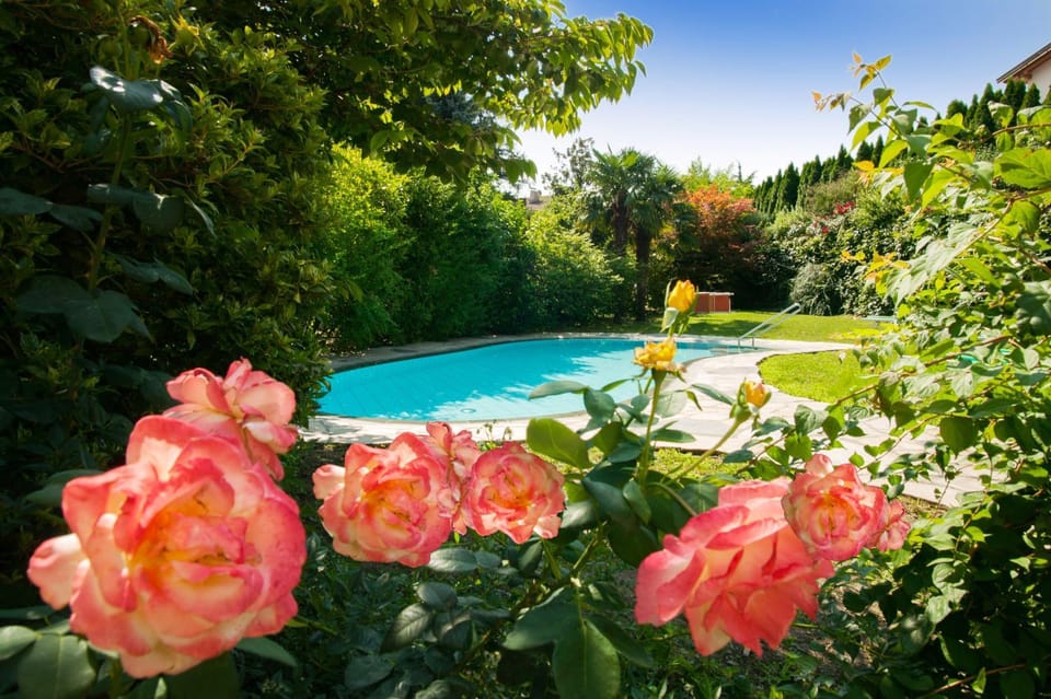 Spring, Swimming pool