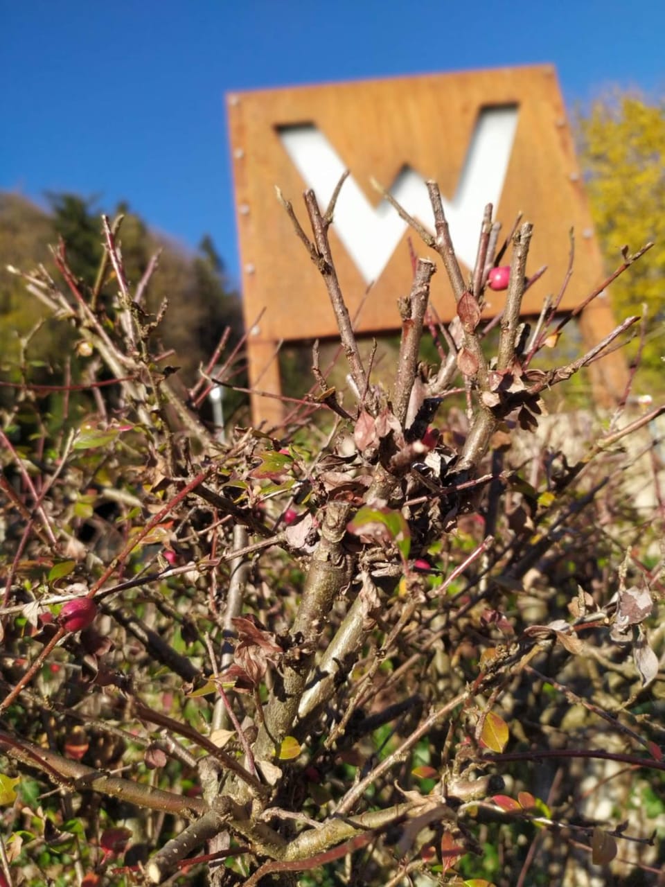 Spring, Day, View (from property/room), View (from property/room)