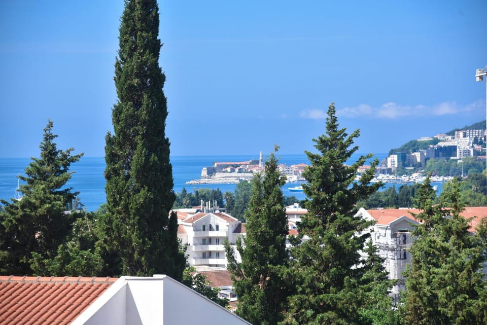 Balcony/Terrace, City view