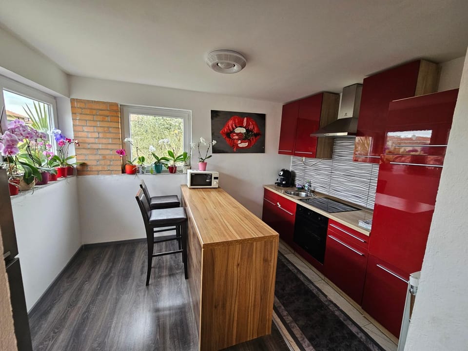 Apartment Zara Apartment in Istria County